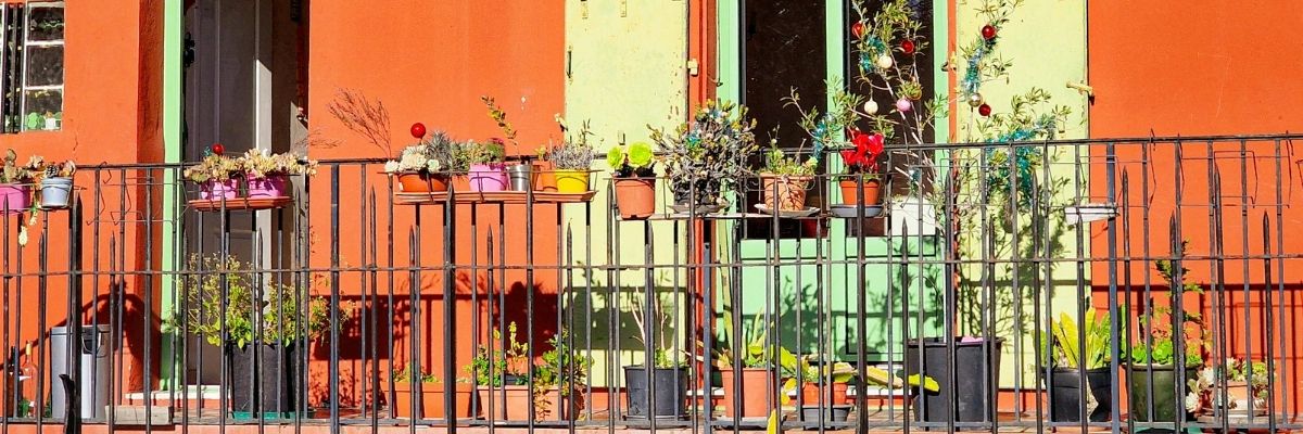 Balkon Tarımı Başlangıç Rehberi